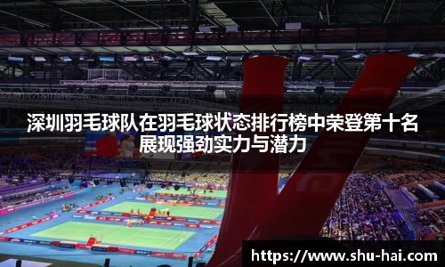 深圳羽毛球队在羽毛球状态排行榜中荣登第十名展现强劲实力与潜力
