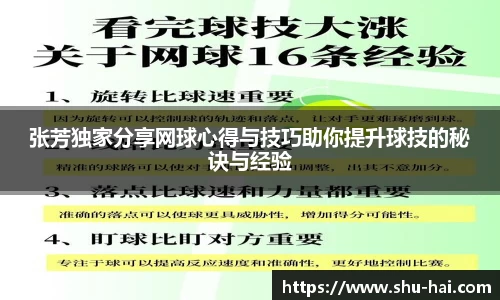 张芳独家分享网球心得与技巧助你提升球技的秘诀与经验