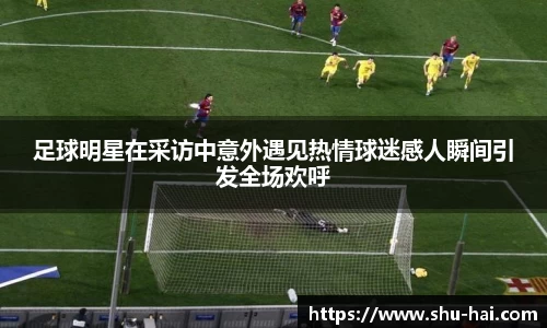 球王会体育官方网站